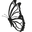 facegloss logo